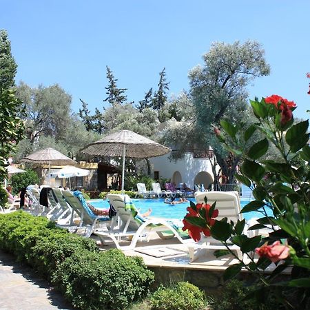 Toloman Bitezpark Apartments Bodrum Eksteriør billede